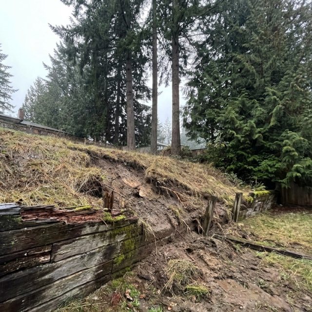 Sample photo: Sloped yard